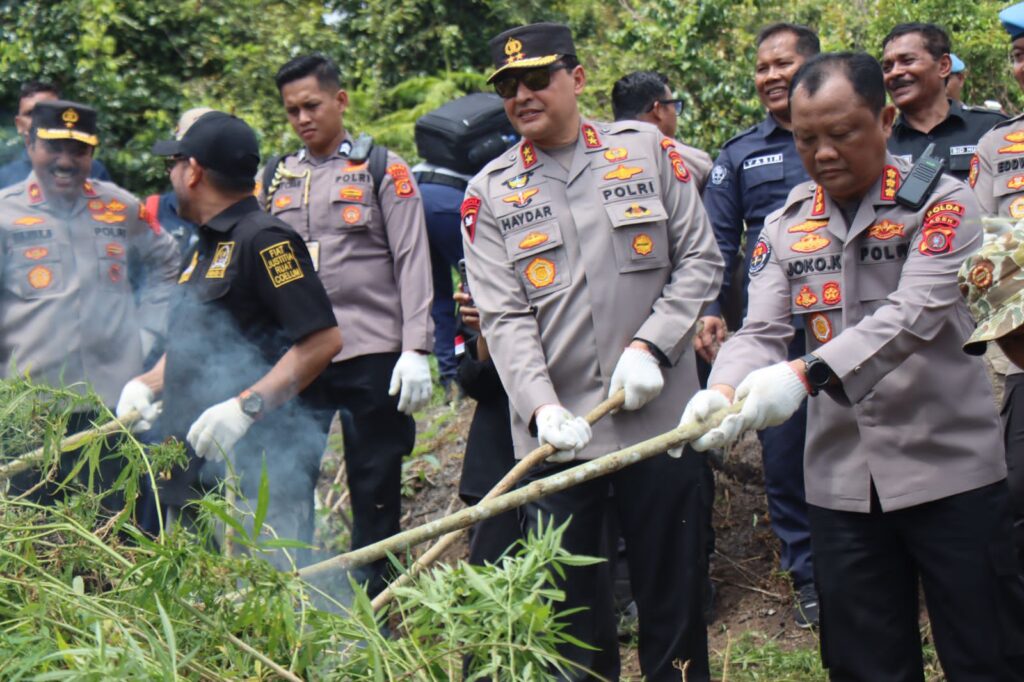Ⓒ Hak cipta foto di atas dikembalikan sesungguhnya kepada pemilik foto