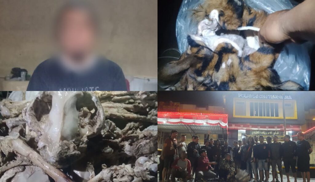 Ⓒ Hak cipta foto di atas dikembalikan sesungguhnya kepada pemilik foto