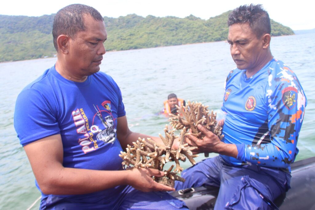 Ⓒ Hak cipta foto di atas dikembalikan sesungguhnya kepada pemilik foto