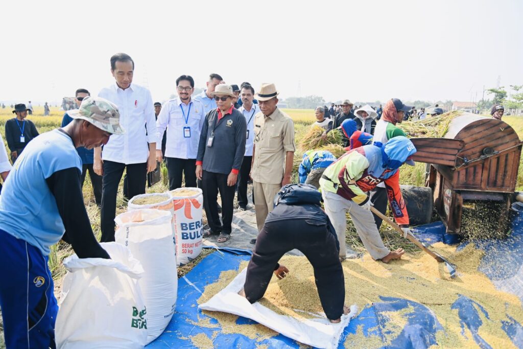 Ⓒ Hak cipta foto di atas dikembalikan sesungguhnya kepada pemilik foto
