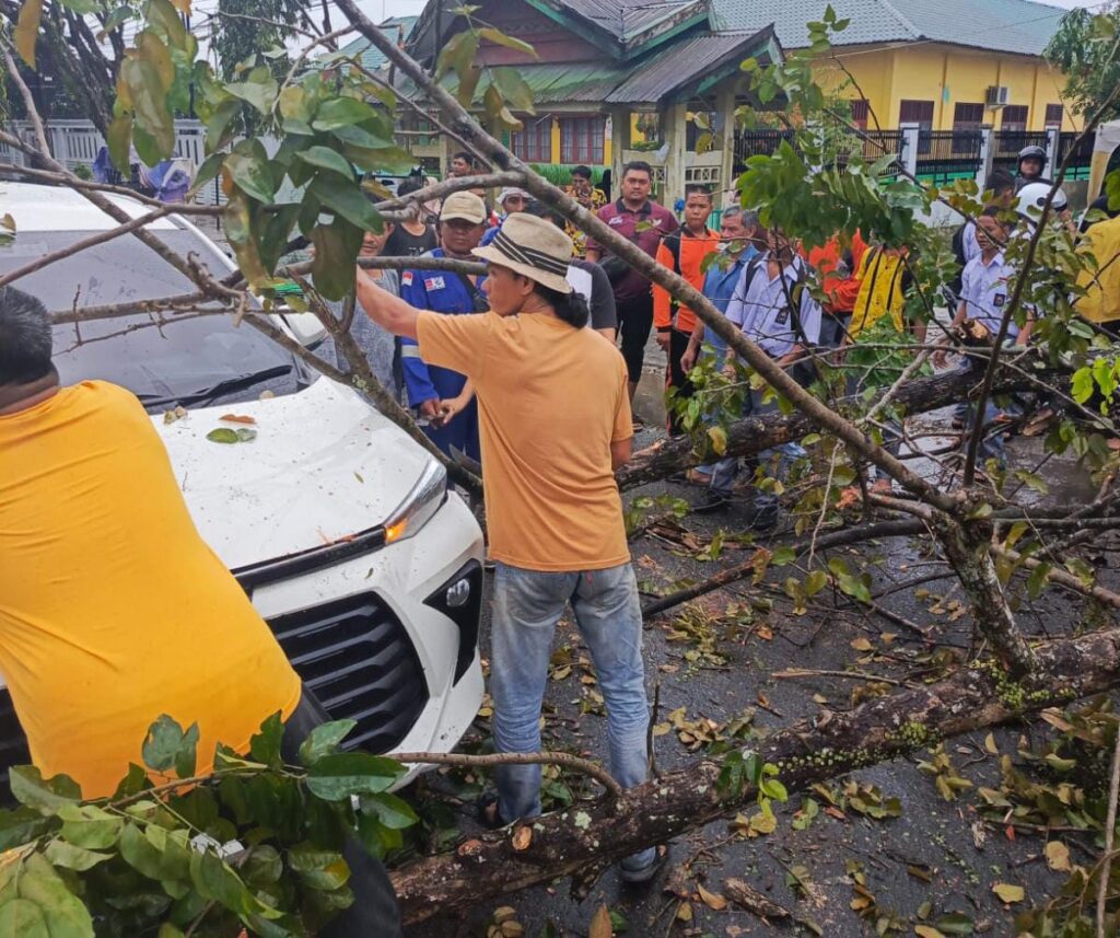 Ⓒ Hak cipta foto di atas dikembalikan sesungguhnya kepada pemilik foto