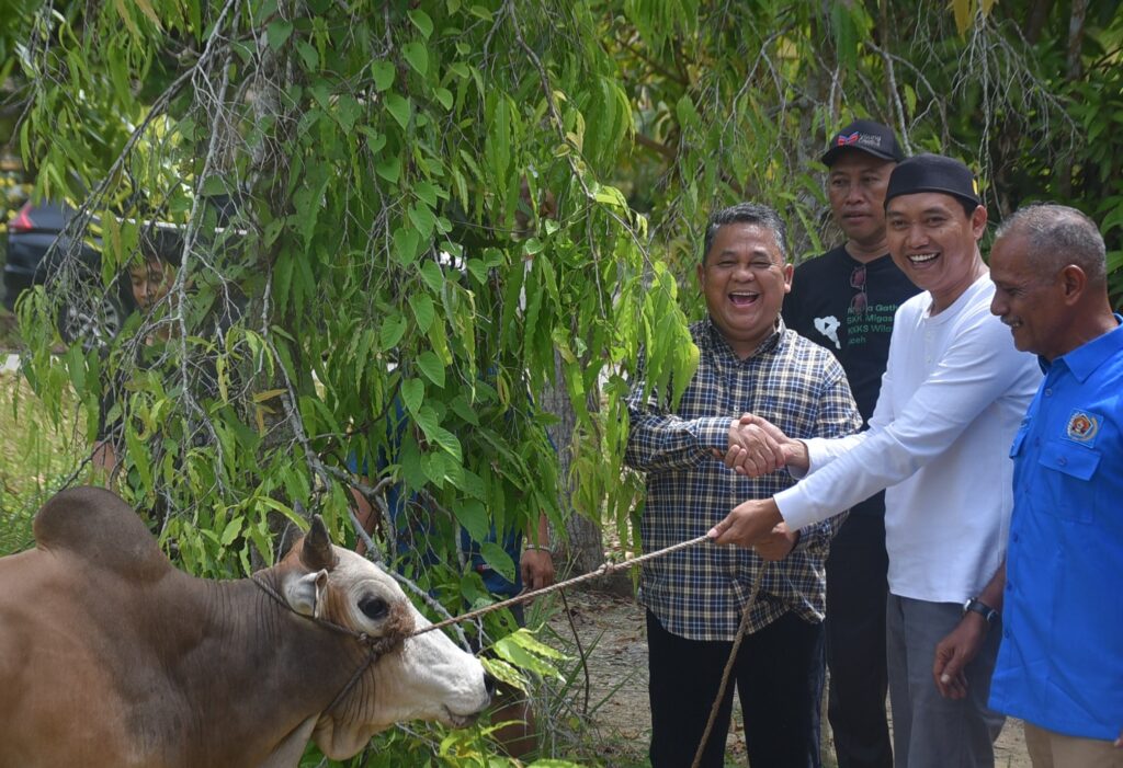 Ⓒ Hak cipta foto di atas dikembalikan sesungguhnya kepada pemilik foto