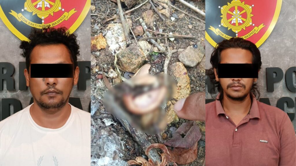Ⓒ Hak cipta foto di atas dikembalikan sesungguhnya kepada pemilik foto