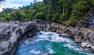 Ⓒ Hak cipta foto di atas dikembalikan sesungguhnya kepada pemilik foto