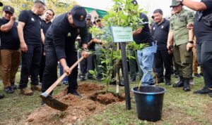 Ⓒ Hak cipta foto di atas dikembalikan sesungguhnya kepada pemilik foto
