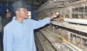 Ⓒ Hak cipta foto di atas dikembalikan sesungguhnya kepada pemilik foto