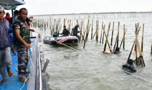 Ⓒ Hak cipta foto di atas dikembalikan sesungguhnya kepada pemilik foto