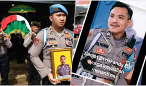 Ⓒ Hak cipta foto di atas dikembalikan sesungguhnya kepada pemilik foto
