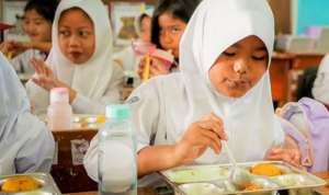 Ⓒ Hak cipta foto di atas dikembalikan sesungguhnya kepada pemilik foto