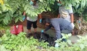 Ⓒ Hak cipta foto di atas dikembalikan sesungguhnya kepada pemilik foto