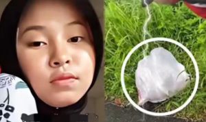 Ⓒ Hak cipta foto di atas dikembalikan sesungguhnya kepada pemilik foto