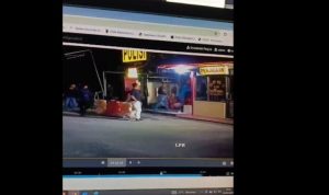 Ⓒ Hak cipta foto di atas dikembalikan sesungguhnya kepada pemilik foto