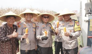 Ⓒ Hak cipta foto di atas dikembalikan sesungguhnya kepada pemilik foto