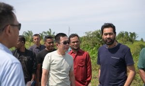 Ⓒ Hak cipta foto di atas dikembalikan sesungguhnya kepada pemilik foto