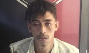Ⓒ Hak cipta foto di atas dikembalikan sesungguhnya kepada pemilik foto
