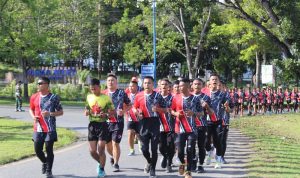 Ⓒ Hak cipta foto di atas dikembalikan sesungguhnya kepada pemilik foto