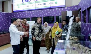 Ⓒ Hak cipta foto di atas dikembalikan sesungguhnya kepada pemilik foto
