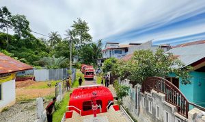 Ⓒ Hak cipta foto di atas dikembalikan sesungguhnya kepada pemilik foto