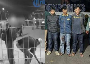Ⓒ Hak cipta foto di atas dikembalikan sesungguhnya kepada pemilik foto