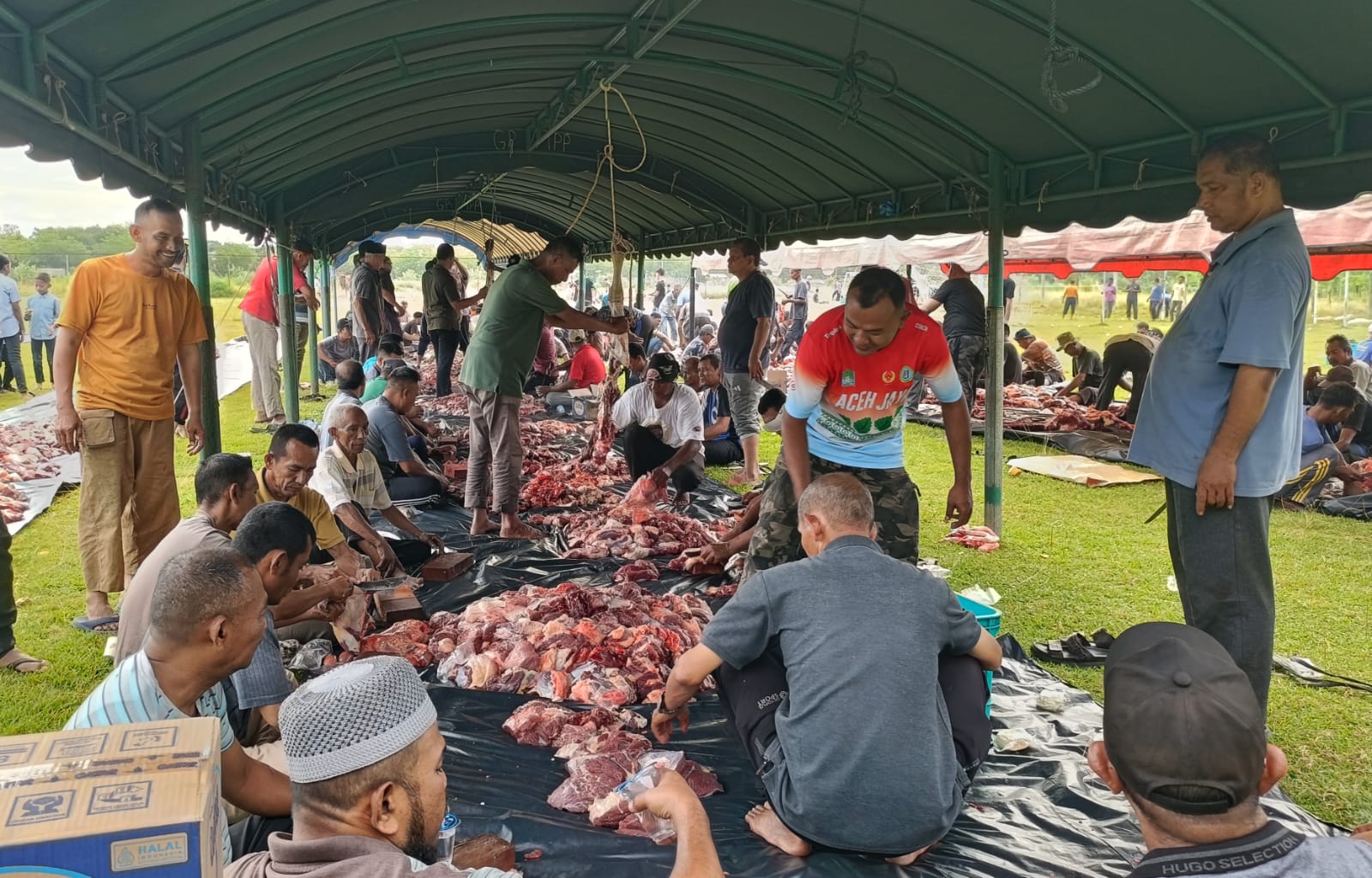 Ⓒ Hak cipta foto di atas dikembalikan sesungguhnya kepada pemilik foto