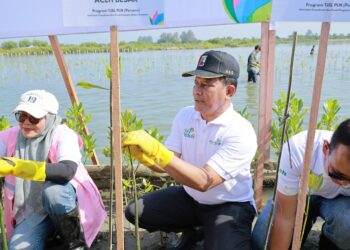 Ⓒ Hak cipta foto di atas dikembalikan sesungguhnya kepada pemilik foto